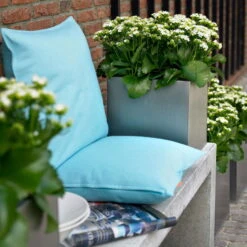 Kalanchoe 'Calandiva'®, Weiß, Topf-Ø 12 Cm, Höhe Ca. 27,5 Cm, 6er-Set -Gartentopf Geschäft 0210350168 Kalanchoe Cal weiss2