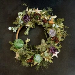 Schnittecheverien-Mix, Ø 12 Cm, 4er-Set 14 Schnittecheverien-Mix, Ø 12 Cm, 4er-Set -Gartentopf Geschäft 0250103364 Echeveria Mix 7 10cm in DIY Box 5 117175