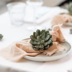 Schnittecheverien-Mix, Ø 12 Cm, 4er-Set 13 Schnittecheverien-Mix, Ø 12 Cm, 4er-Set -Gartentopf Geschäft 0250103364 Echeveria Mix 7 10cm in DIY Box 7 117173