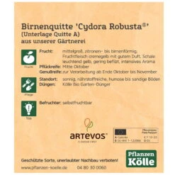 Bio Birnenquitte 'Cydora Robusta'Ⓢ, Topf 10 Liter 11 Bio Birnenquitte 'Cydora Robusta'Ⓢ, Topf 10 Liter -Gartentopf Geschäft 0480300060 Koelle Bio Cydora Robusta Birnenquitte Busch 2 119768