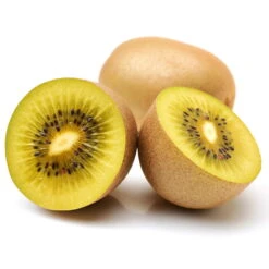 Gelbfruchtige Kiwi 'Golden Kiwi', 2er-Set, Topf 15 Cm Ø -Gartentopf Geschäft 0480960140 0480960142 Golden Kiwi 4er Set 88165