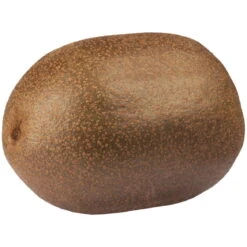 Gelbfruchtige Kiwi 'Golden Kiwi', 2er-Set, Topf 15 Cm Ø -Gartentopf Geschäft 0480960140 0480960142 Golden Kiwi 87664