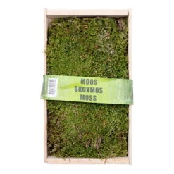 Waldmoos In Der Holzkiste, Ca. 25x13x7 Cm, 4er-Set -Gartentopf Geschäft 0660200150 Waldmoos M 404 Holz Kiste klein 32949