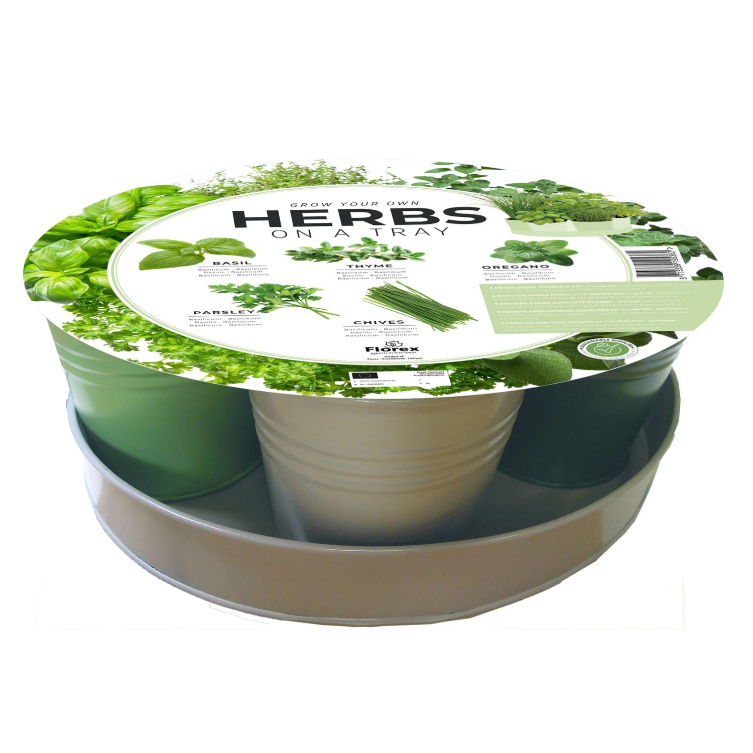 Kräutertablett-Saatgut: Petersilie, Oregano, Basilikum, Schnittlauch & Thymian 3 Kräutertablett-Saatgut: Petersilie, Oregano, Basilikum, Schnittlauch & Thymian