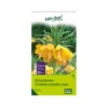 Kaiserkrone (Fritillaria Imperialis Lutea) Gelb, 3 Blumenzwiebeln 1 Kaiserkrone (Fritillaria Imperialis Lutea) Gelb, 3 Blumenzwiebeln -Gartentopf Geschäft 0720500237 kb fritillaria imperialis lutea gelb gr 20 3 st 1 76303