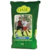 Rasensamen 'Sportrasen' Samenmischung, 10 Kg 1 Rasensamen 'Sportrasen' Samenmischung, 10 Kg -Gartentopf Geschäft 0750100143 Oase Sportrasen 10kg 118916