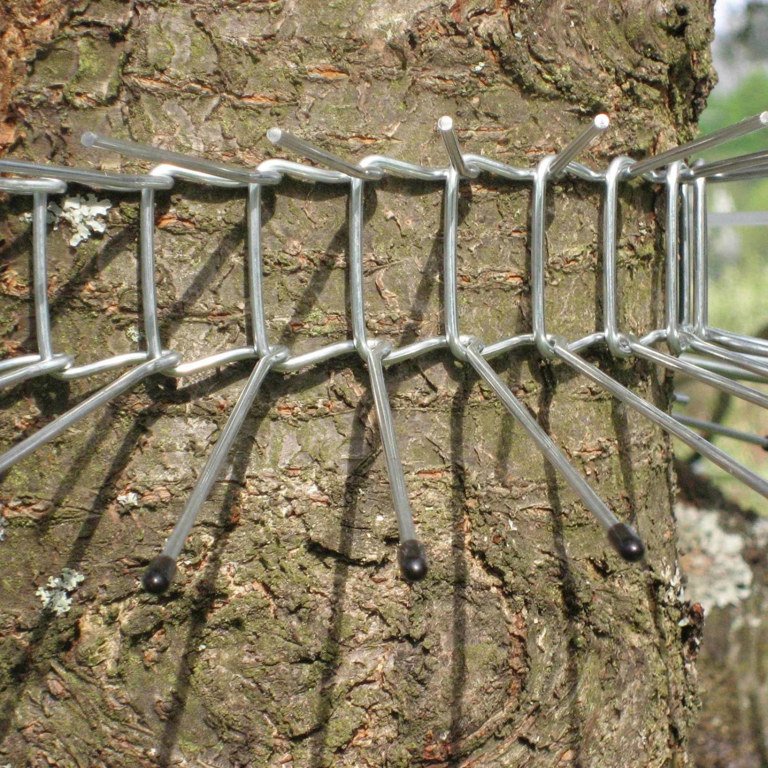 Katzenabwehrgürtel, Draht, Schutz Für Brütende Vögel, Umfang Bis 70 Cm 4 Katzenabwehrgürtel, Draht, Schutz Für Brütende Vögel, Umfang Bis 70 Cm – Bild 2