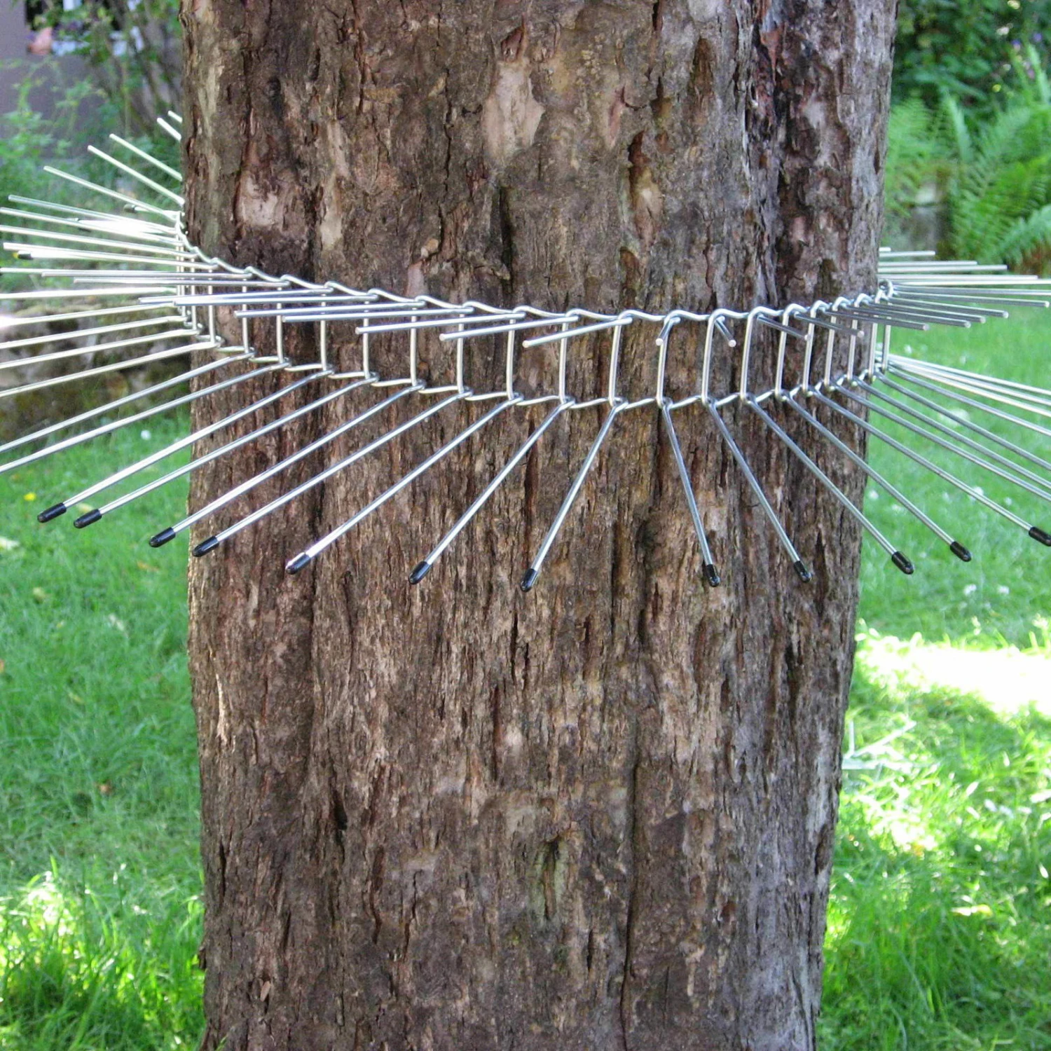 Katzenabwehrgürtel, Draht, Schutz Für Brütende Vögel, Umfang Bis 70 Cm 3 Katzenabwehrgürtel, Draht, Schutz Für Brütende Vögel, Umfang Bis 70 Cm