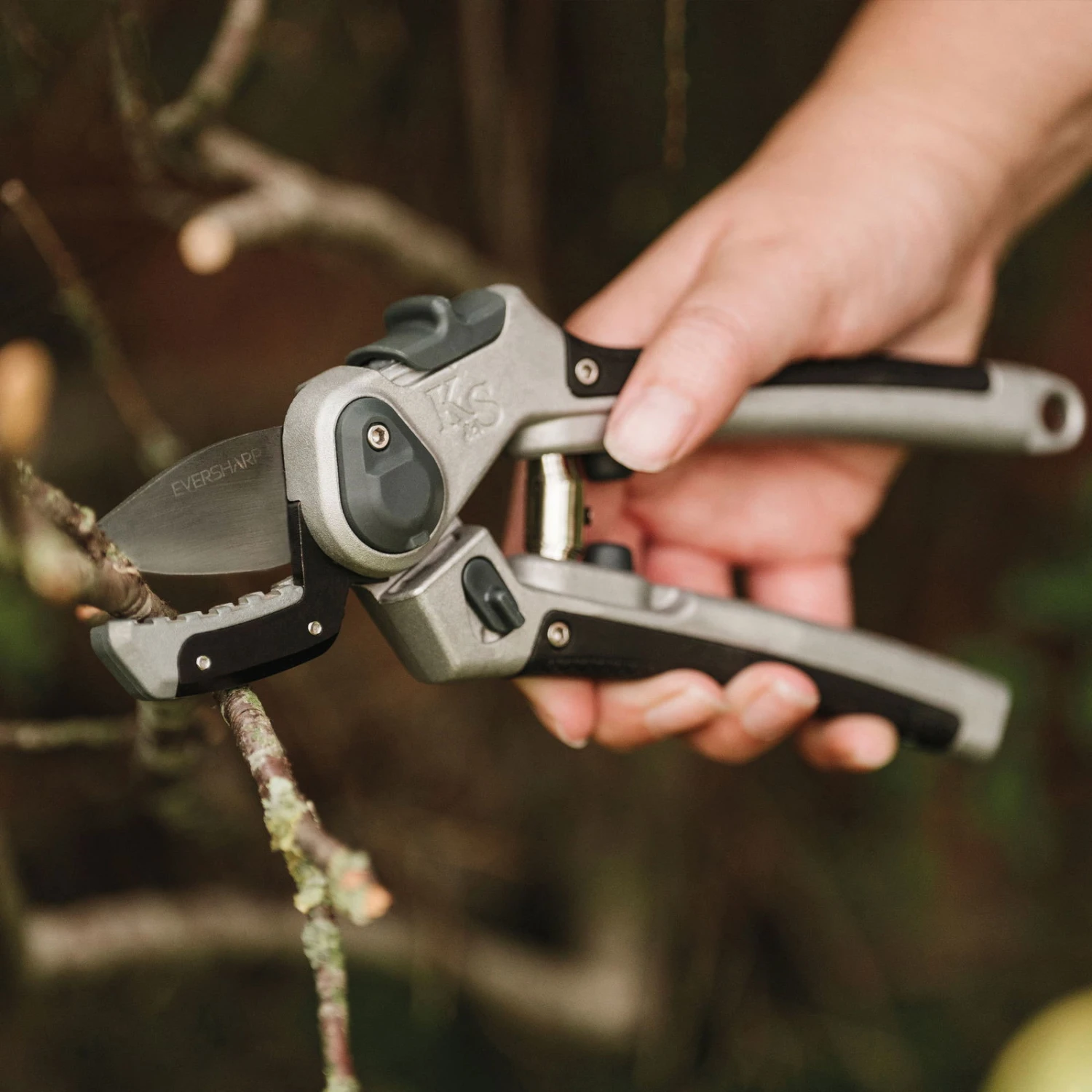 Gartenschere 'Eversharp Amboss', Carbonstahl 3 Gartenschere 'Eversharp Amboss', Carbonstahl