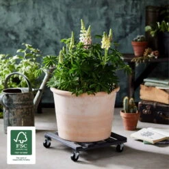 Multi Roller, Tragkraft 120 Kg, Anthrazit, Ca. 10 X 38 X 38 Cm -Gartentopf Geschäft 0920600515 multi roller kiefer anthrazit 3 116719