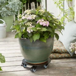 Pflanzenroller 'Alaska', Tragkraft 150 Kg, Anthrazit, Alu, 7 X 30 X 30 Cm -Gartentopf Geschäft 0920600518 pflanzenroller alaska 3 116731