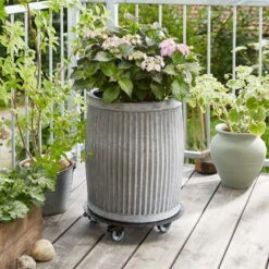 Pflanzenroller 'Alaska', Tragkraft 150 Kg, Anthrazit, Alu, 7 X 38 X 38 Cm -Gartentopf Geschäft 0920600519 pflanzenroller alaska 3 116737