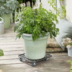 Pflanzenroller GH0936/0937, Tragkraft 80 Kg, Schwarz, Ø 30 Cm 9 Pflanzenroller GH0936/0937, Tragkraft 80 Kg, Schwarz, Ø 30 Cm -Gartentopf Geschäft 0920600521 pflanzenroller 3 116749