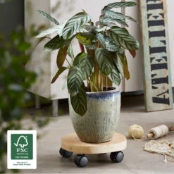 Multi Roller GH0268, Tragkraft 50 Kg, Natur, Ø 25-30 Cm 9 Multi Roller GH0268, Tragkraft 50 Kg, Natur, Ø 25-30 Cm -Gartentopf Geschäft 0920600529 multi roller 2 116768