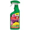 Neudorff Spruzit® AF Rosenschädlingsfrei, 500 Ml 2 Neudorff Spruzit® AF Rosenschädlingsfrei, 500 Ml -Gartentopf Geschäft 0950200581 Spruzit AF RosenSchaedlingsFrei 500ml neueVerp 48974