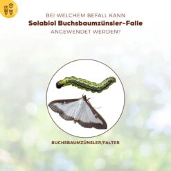 Solabiol Buchsbaumzünsler-Falle, Ausreichend Für Bis Zu 180 M² -Gartentopf Geschäft 0950200723 Buchsbaumzuensler Falle fuer bis zu 180qm Flaeche 1 107232