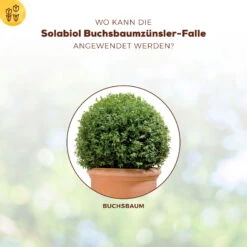 Solabiol Buchsbaumzünsler-Falle, Ausreichend Für Bis Zu 180 M² -Gartentopf Geschäft 0950200723 Buchsbaumzuensler Falle fuer bis zu 180qm Flaeche 4 107233