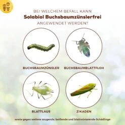 Solabiol Buchsbaumzünsler-Schutz, 50 Ml -Gartentopf Geschäft 0950200746 Solabiol Buchsbaumzuensler Schaedlingsfrei 50ml 3 107237