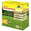 Terra Preta®, Terra Vital RasenSanierer, 4,5 Kg 2 Terra Preta®, Terra Vital RasenSanierer, 4,5 Kg -Gartentopf Geschäft 0950200774 Terra Vital Rasen Sanierer 104954