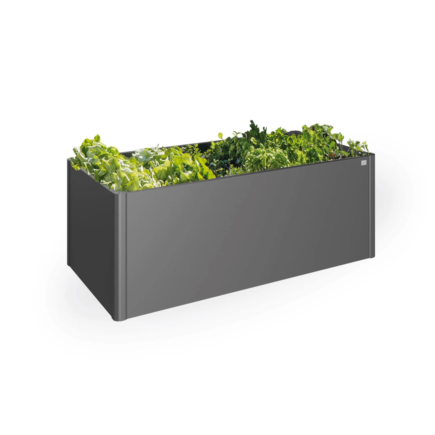 Biohort Hochbeet Mit Raffinierten Details 4 Biohort Hochbeet Mit Raffinierten Details – Bild 2