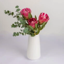 Blumenbund Protea 'Silvia' & Eukalyptus, Inkl. Gratis Grußkarte -Gartentopf Geschäft 1025700018 Strauss Protea Silvia mit Cinerea 2 102267