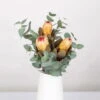 Blumenbund Protea & Eukalyptus, Inkl. Gratis Grußkarte 1 Blumenbund Protea & Eukalyptus, Inkl. Gratis Grußkarte -Gartentopf Geschäft 1025700019 Strauss Protea Grandiflora 1 1 101680