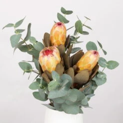Blumenbund Protea & Eukalyptus, Inkl. Gratis Grußkarte -Gartentopf Geschäft 1025700019 Strauss Protea Grandiflora 1 101679