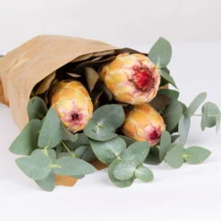 Blumenbund Protea & Eukalyptus, Inkl. Gratis Grußkarte -Gartentopf Geschäft 1025700019 Strauss Protea Grandiflora 2 1 101682