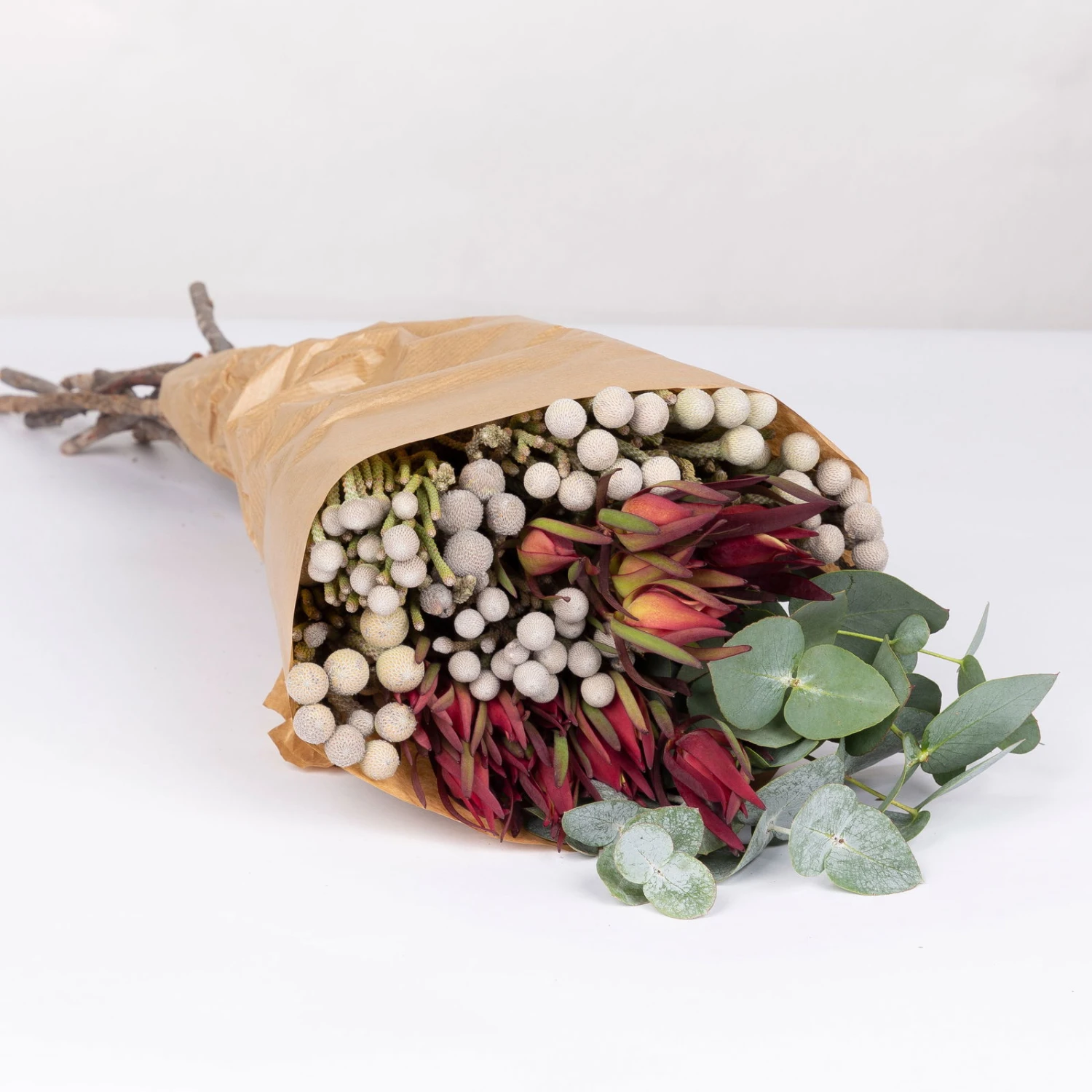 Blumenbund Eukalyptus Mit Brunia Und Kapgrün, Inkl. Grußkarte 4 Blumenbund Eukalyptus Mit Brunia Und Kapgrün, Inkl. Grußkarte – Bild 2