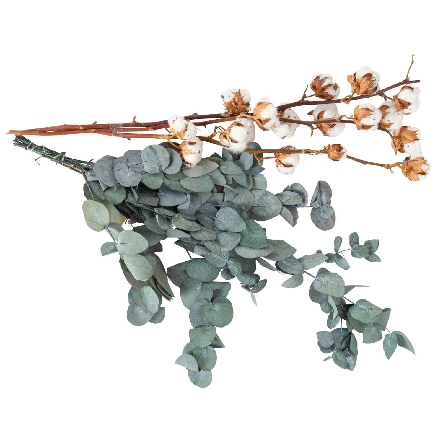 Eukalyptus Getrocknet Und Baumwolle, 2er-Set 4 Eukalyptus Getrocknet Und Baumwolle, 2er-Set – Bild 2