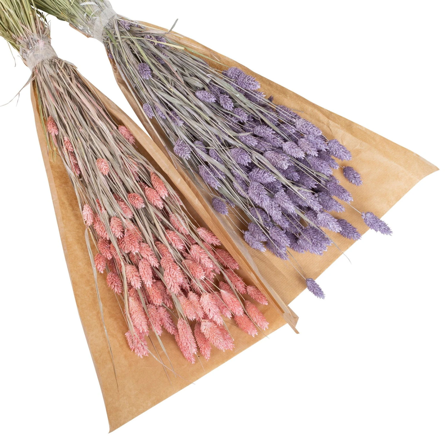 Lila & Rosa Glanzgras, 2er-Set, Länge Ca. 70 Cm 4 Lila & Rosa Glanzgras, 2er-Set, Länge Ca. 70 Cm – Bild 2