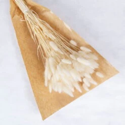 Samtgras Im Bund, Gebleicht Und Getrocknet, Ca. 65 Cm -Gartentopf Geschäft 1055300010 Lagurus gebleicht 1 89167