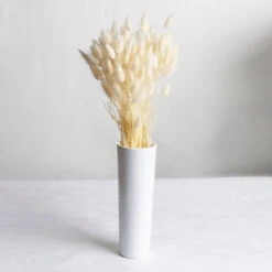 Samtgras Im Bund, Gebleicht Und Getrocknet, Ca. 65 Cm -Gartentopf Geschäft 1055300010 Lagurus gebleicht 2 89168