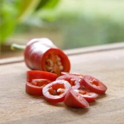 Blu Bio Chilipflanze Zwerg-Chili, Topf-Ø 12 Cm, 3er Set -Gartentopf Geschäft 1620330132 Blu Bio Zwerg Chili mit Fruechte T12 3er Set extra scharf 2 124305