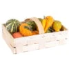 Kürbisse Im Spankorb, Verschiedene Sorten, 2 Körbe -Gartentopf Geschäft 1630100025 Kuerbisse im Spankorb NR versch Sorten 56805
