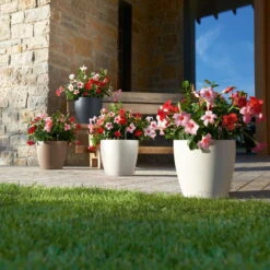 LECHUZA Pflanztopf 'Classico Color 60', Grau, Ø 60 X H 55,5 Cm -Gartentopf Geschäft 3210103919 Pflanzgefaess Classico Color 60 All in 1 schiefergrau 3 109198