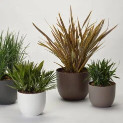 Pflanzkübel 'Rio', Weiß, Ø 34 X H 28 Cm -Gartentopf Geschäft 3210104130 3210104131 3210104132 3210104133 pflanzkuebel rio 122622