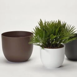 Pflanzkübel 'Rio', Weiß, Ø 34 X H 28 Cm -Gartentopf Geschäft 3210104130 3210104131 3210104132 pflanzkuebel rio 1 122626