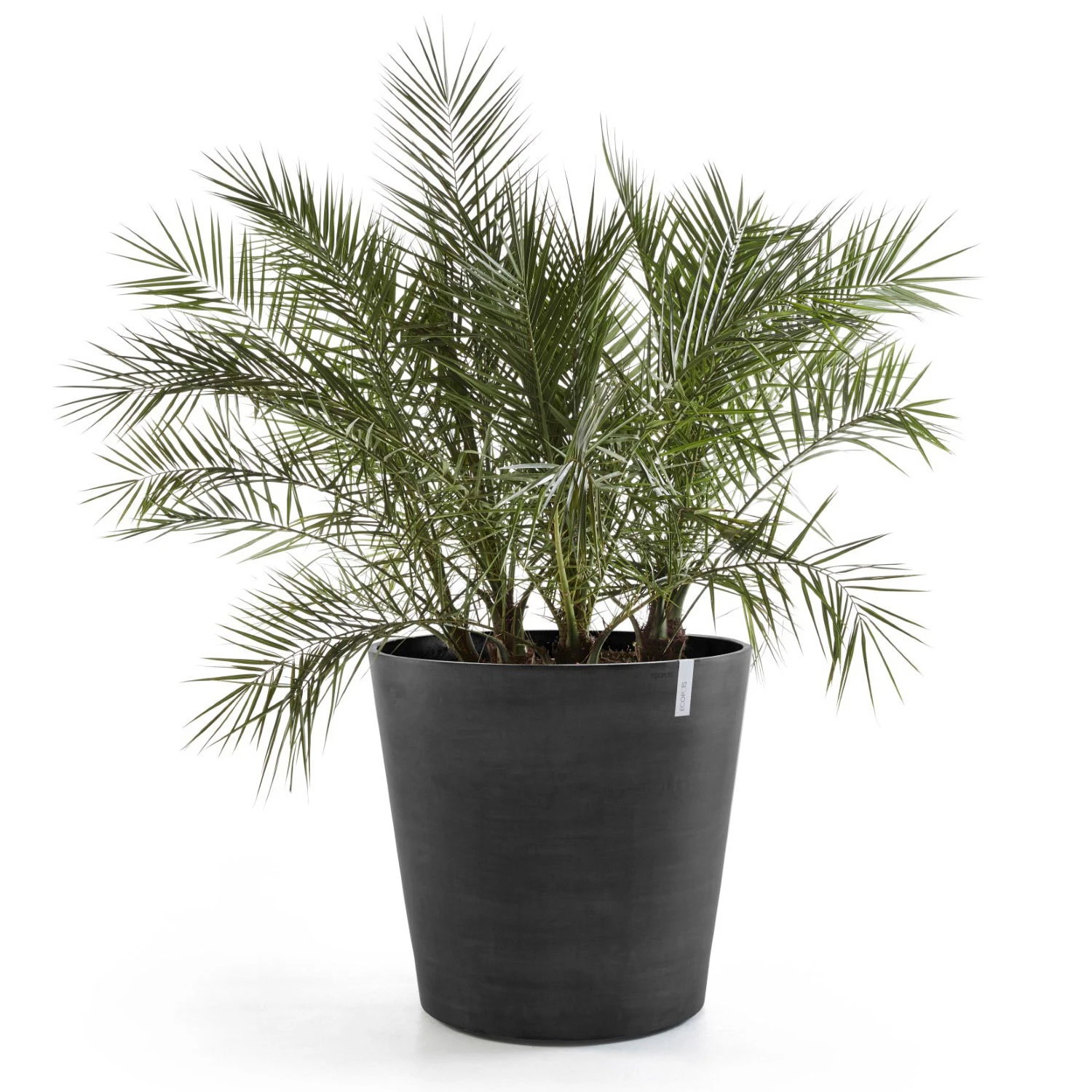 Pflanzgefäß 'Amsterdam', Dunkelgrau 4 Pflanzgefäß 'Amsterdam', Dunkelgrau – Bild 2