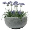 Pflanzschale Rock Line Banham, Granitgrau, Ø 35 X H 17 Cm -Gartentopf Geschäft 3210801301 3210801302 3210801303 Pflanzschale Rock Line Banham granit grau 2 55636 1