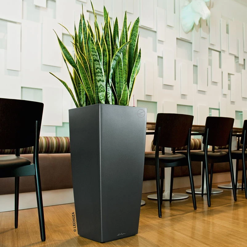 LECHUZA Cubico Premium 30, Anthrazit-metallic, All-in-One-Set, 30x30, H:56 Cm 3 LECHUZA Cubico Premium 30, Anthrazit-metallic, All-in-One-Set, 30x30, H:56 Cm