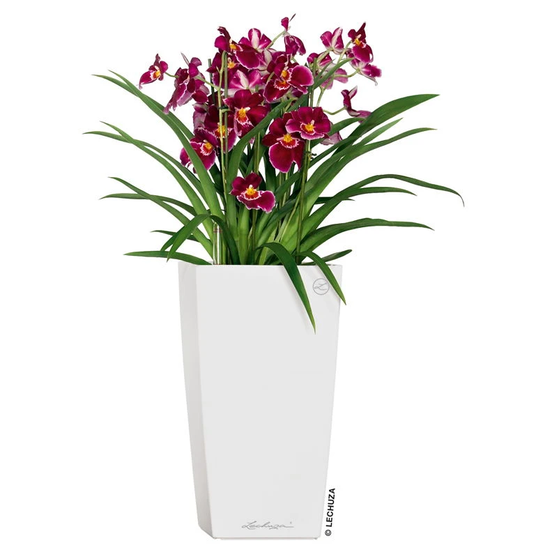 LECHUZA Cubico Premium 40, Weiß Hochglanz, All-in-One-Set, 40 X 40, H:75 Cm 6 LECHUZA Cubico Premium 40, Weiß Hochglanz, All-in-One-Set, 40 X 40, H:75 Cm – Bild 4