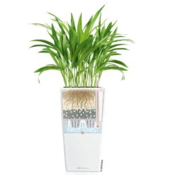 LECHUZA Cubico Premium 40, Weiß Hochglanz, All-in-One-Set, 40 X 40, H:75 Cm 8 LECHUZA Cubico Premium 40, Weiß Hochglanz, All-in-One-Set, 40 X 40, H:75 Cm -Gartentopf Geschäft 3325100114 CubicoPremium22 weiss All in One Set 22x22x41cm RGB 7573 1