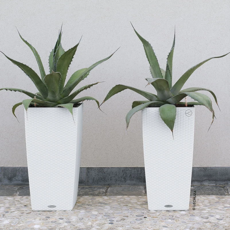 Lechuza Cubico Cottage 40, Weiß, All-in-One-Set