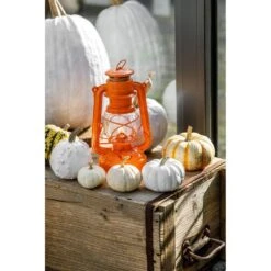 Feuerhand Sturmlaterne 'Baby Special 267', Orange, 26,5 X 13,5 X 15 Cm 12 Feuerhand Sturmlaterne 'Baby Special 267', Orange, 26,5 X 13,5 X 15 Cm -Gartentopf Geschäft 3990100185 feuerhand sturmlaterne 4 121547