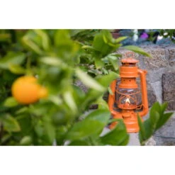 Feuerhand Sturmlaterne 'Baby Special 267', Orange, 26,5 X 13,5 X 15 Cm 17 Feuerhand Sturmlaterne 'Baby Special 267', Orange, 26,5 X 13,5 X 15 Cm -Gartentopf Geschäft 3990100185 feuerhand sturmlaterne 6 121553