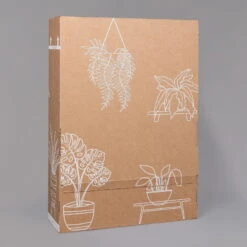 Rose Mit Topf Dallas Weiß, Topf-Ø 13 Cm, 3er-Set 13 Rose Mit Topf Dallas Weiß, Topf-Ø 13 Cm, 3er-Set -Gartentopf Geschäft B2 02 Karton Sets mit Keramik 1 126161 1