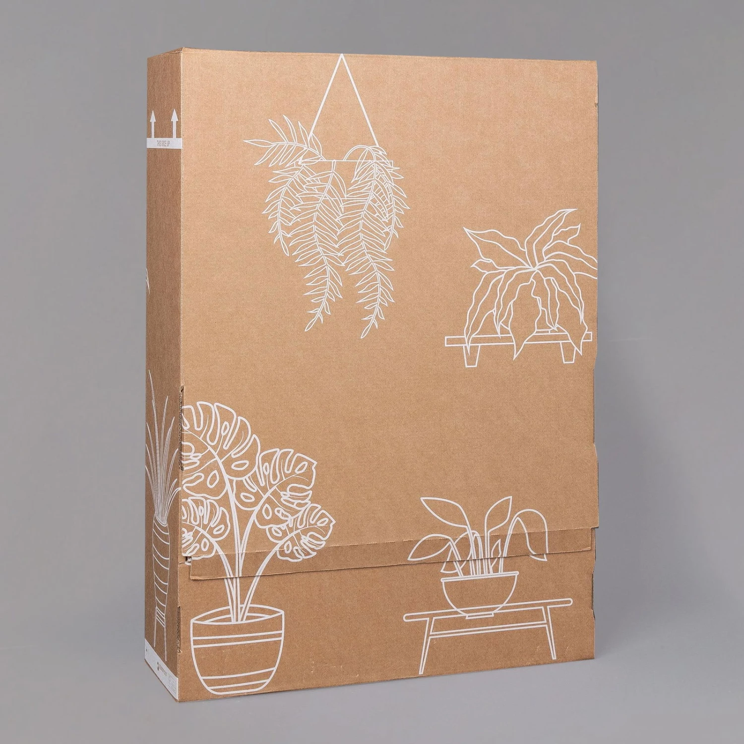 Rose Mit Topf Dallas Weiß, Topf-Ø 13 Cm, 3er-Set 7 Rose Mit Topf Dallas Weiß, Topf-Ø 13 Cm, 3er-Set – Bild 5