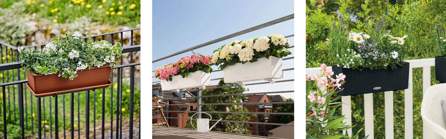 Gartentopf Geschäft 3 Gartentopf Geschäft -Gartentopf Geschäft FCHFGH